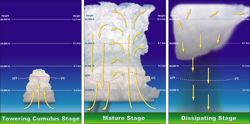 thunderstorm_stages.jpg