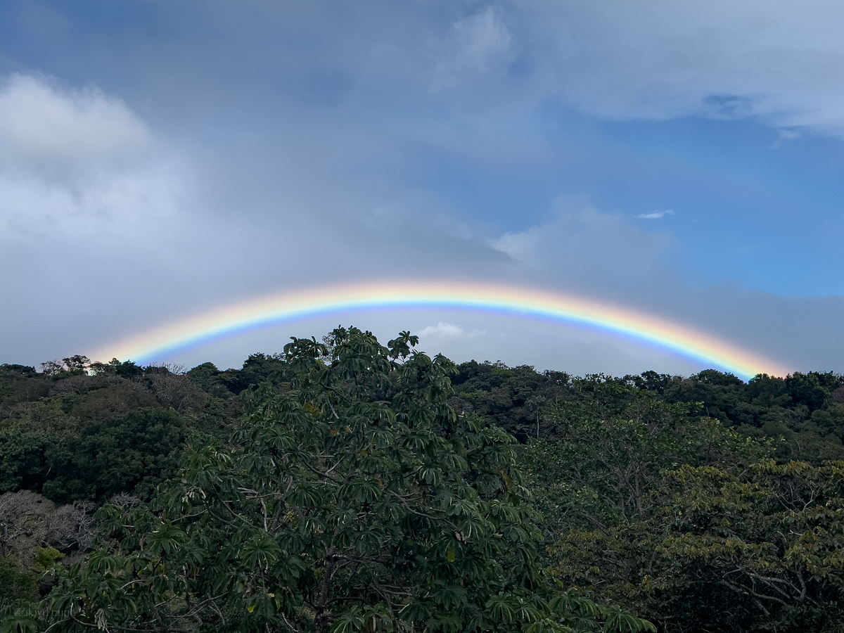 Rainbow in December