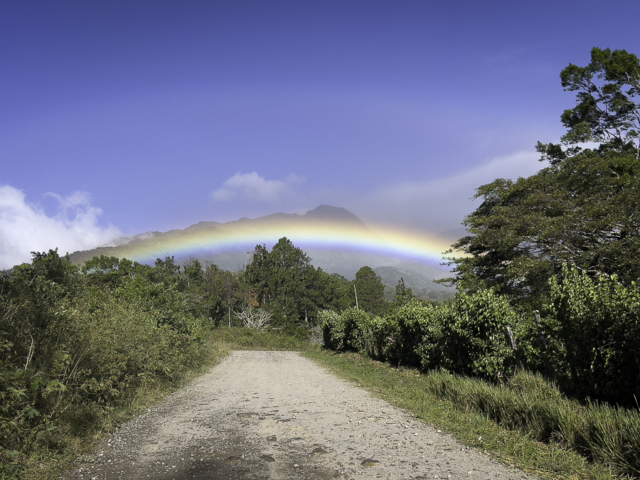 Baru Rainbow 2