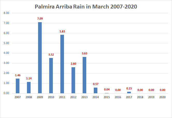 Palmria Rains in March