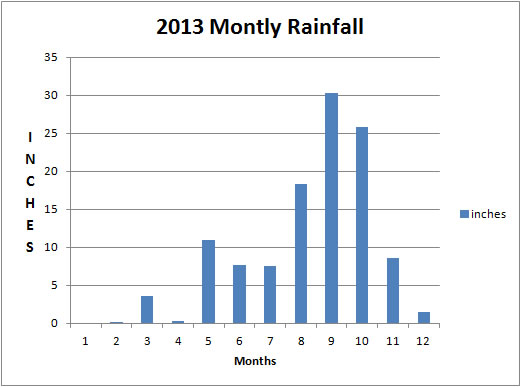 Rainfall 2013