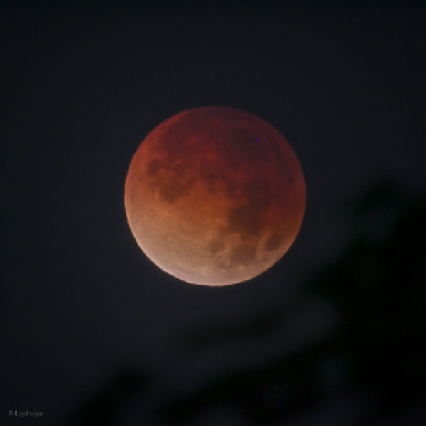 Lunar Eclipse
